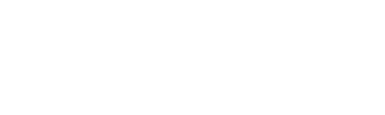 Logo White